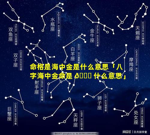 命格是海中金是什么意思「八字海中金命是 🐞 什么意思」